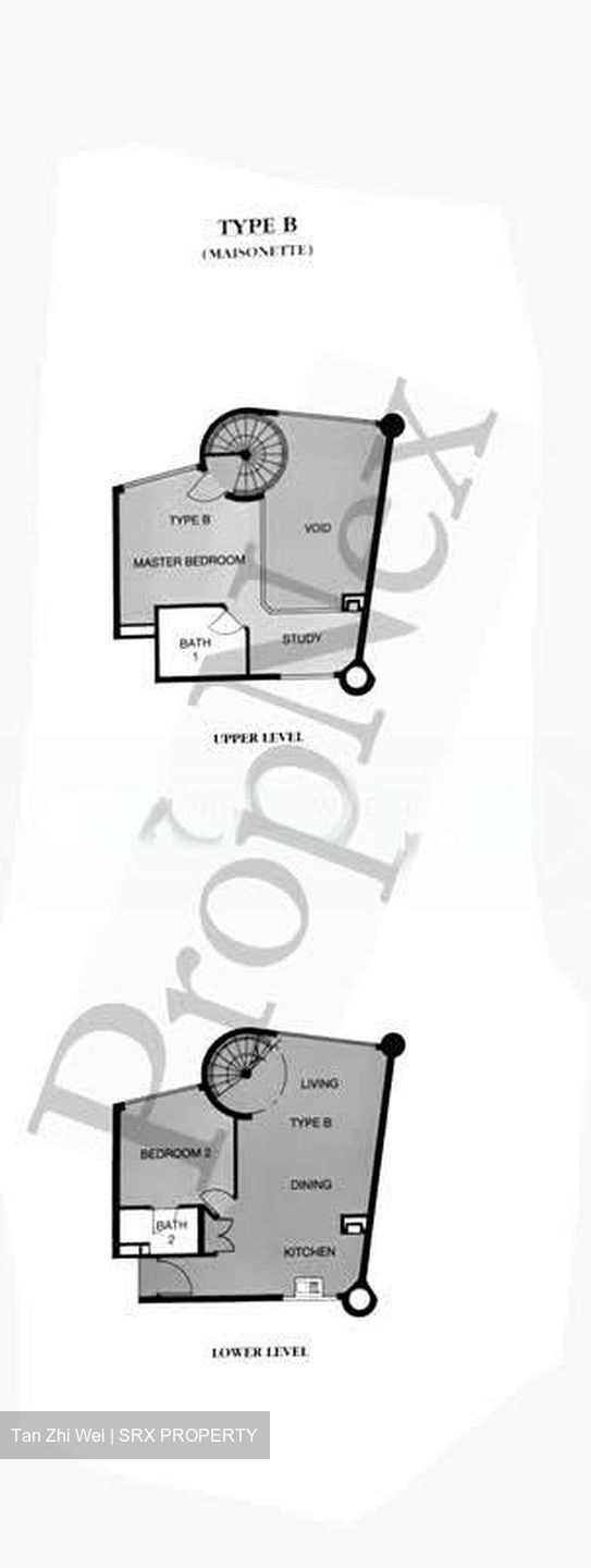 The Legend (D10), Condominium #532094401